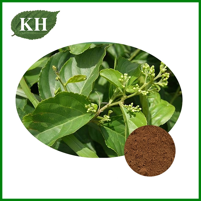 Thunder God Vine Extract